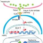 改写教科书！上海交通大学最新Nature