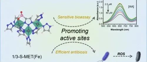 Chem. Mater. | 基于配体工程策略构筑硫掺杂的铁三氮唑过氧化物酶模拟物