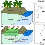 2篇！南京土壤所在海岸带水盐过程研究方面取得进展