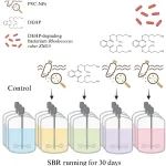 Water Research | 浙江大学吕镇梅课题组揭示塑料污染下的微生物代谢互作机制