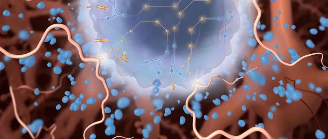 西湖大学生命科学学院Science：迄今最完整的小鼠基因组图谱解析
