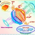 北化汪晓东教授团队 Adv. Sci.：三明治结构的氟化聚酰亚胺气凝胶/石蜡相变复合材料用于同时实现梯度热防护和透波性能