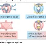 IF：38.1！中山大学，最新Nature系列综述，作者仅三人！
