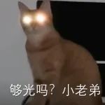 为什么猫咪的眼睛在晚上会发光？｜科到了