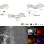 【CCS Chem.】吉林大学管景奇：电势驱动的单原子铼位点的结构演变实现了高性能的氧电极反应和可充电锌空气电池