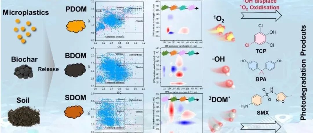 【视点】上海大学李辉研究员团队：微塑料衍生溶解有机质光响应选择性降解有机污染物
