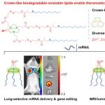 南开大学熊虎JACS：冠状可生物降解脂质用于实现肺选择性mRNA递送和体内双模态肿瘤成像