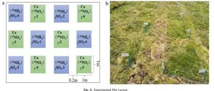 【文献精选】Ecological Indicators | 青藏高原高寒草原沉积NH4+和NO3&#8722;的不同去向和滞留