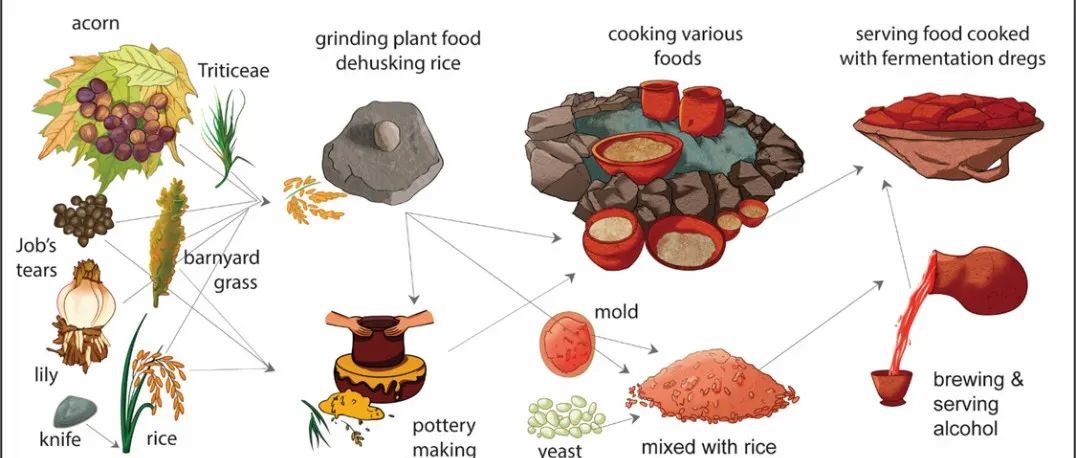 PNAS：中国东部上山遗址发现距今一万年的稻米酒