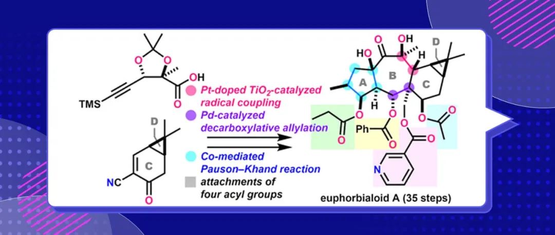 东京大学Inoue组JACS：高氧化态premyrsinane二萜Euphorbialoid A的首次全合成
