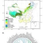 Journal of Ecology | 中国北方草地植物叶片和根系生物地球化学生态位的变化规律