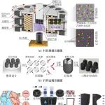 哈工大谢晖教授团队 Nat. Commun.：磁矩空间可编程光固化打印技术制备仿生薄壁软体机器