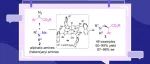 同济大学郑生财/赵晓明团队JACS: 轴手性β-芳基铱卟啉络合物催化高效合成β-手性三级胺