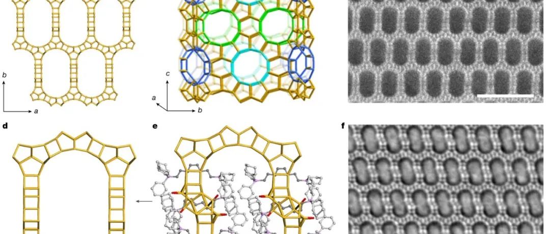 中国科学院最新Nature！