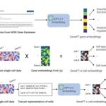 用ChatGPT，发一篇Nature Biomedical Engineering！