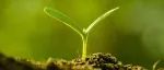 Nature Reviews Microbiology最新综述 | 利用植物微生物组实现可持续作物生产