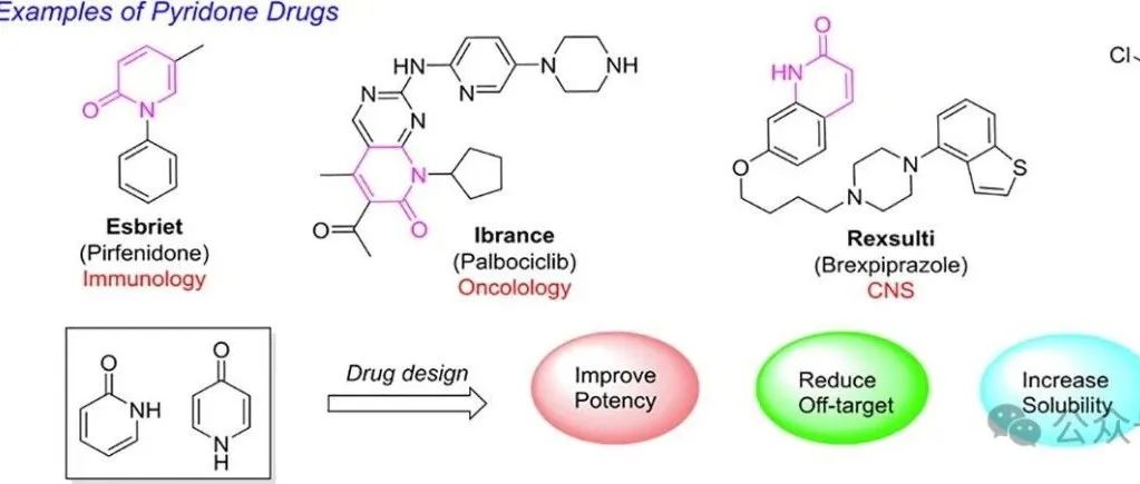 AstraZeneca｜分子砌块专栏：药物设计中的吡啶酮