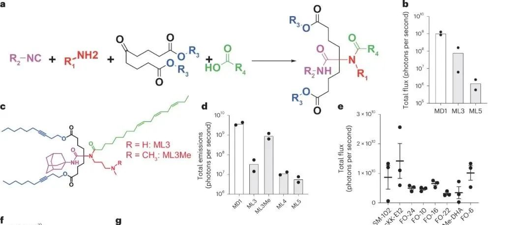 【Nat. Biotechnol.】人工智能设计的脂质纳米颗粒用于肺基因治疗