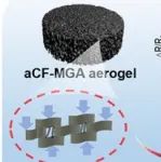 长春工业大学《ACS ANM》：碳纤维/MTMS/石墨烯复合气凝胶，用于可穿戴设备和改进人机交互等