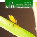 JIA | 2023–2024年「昆虫分子生物与功能基因」论文合集