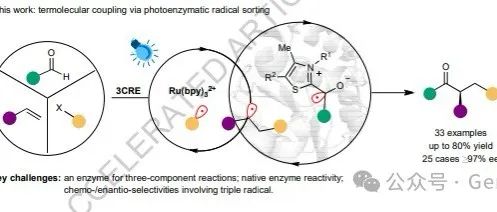 光生物催化协同作用实现对映选择性三重自由基分选