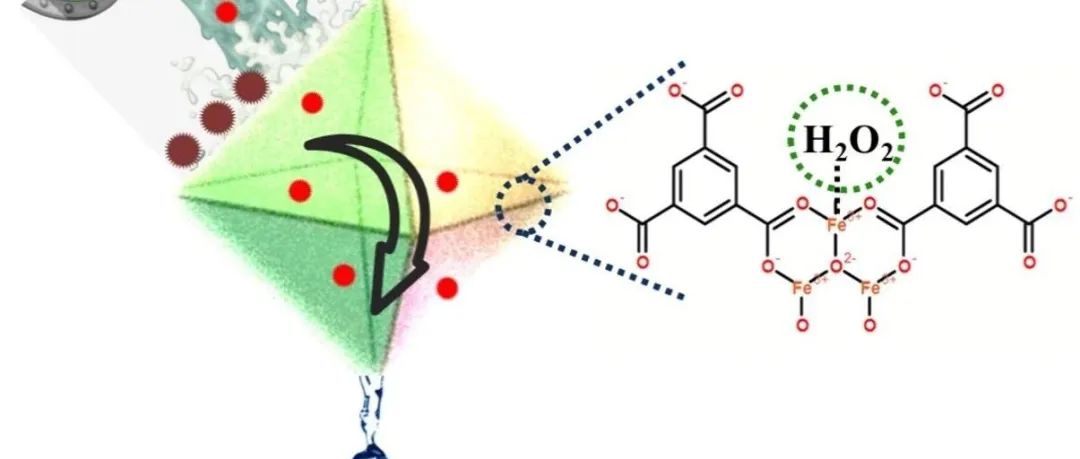 文献速递|中山大学SPT:具有热力学上有利的中心金属电子密度和约束效应的脱水铁基MOF选择性降解新污染物的光-芬顿类增强过程
