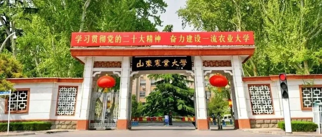 祝贺！山东农业大学&#8203;段巧红教授