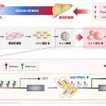 国自然评审专家：美观简洁的假说图和技术路线图是中标的关键！