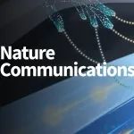 Nature Communications | 室温下碳化硅波导中的量子纠缠