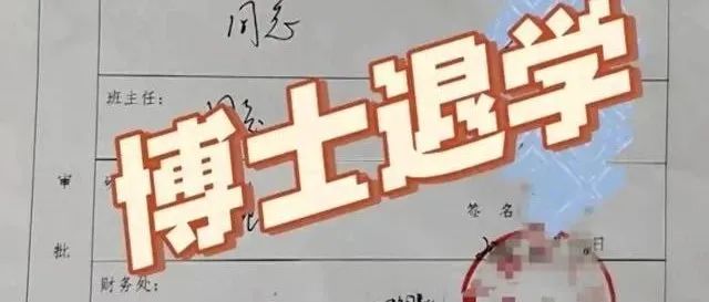 博士生扎堆退学，不想做高学历“牛马”了