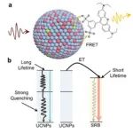 Biosensors&Bioelectronics：一种增强小尺寸上转换纳米颗粒发光的混合策略