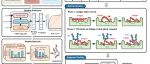 Nat Mach Intell｜李洪林/张凯团队：基于Sliding-Transformer的肿瘤新抗原识别算法PISTE