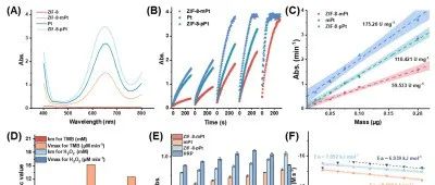 Angew. Chem. Int. Ed. │ 调控纳米酶催化中心用于切断细菌能量代谢途径