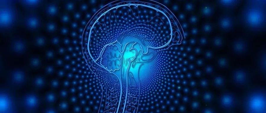 脑机智能全国重点实验室2024年开放课题立项名单公布，资助25项！