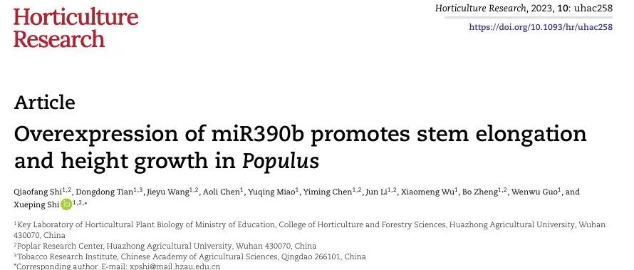 文献分享 | miR390b的过表达促进杨树茎伸长和高度生长