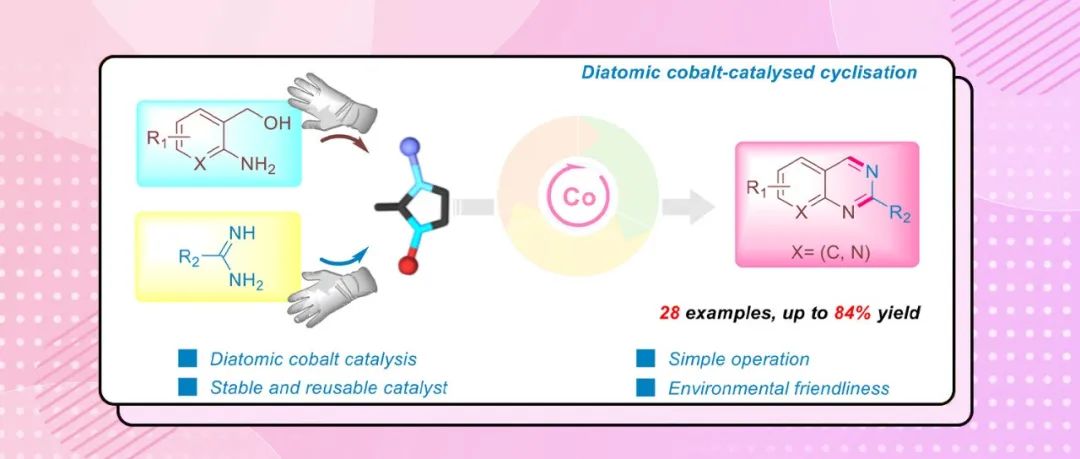 五邑大学&香港理工大学J. Catal.: 多级结构ZSM-5分子筛负载双原子Co催化剂用于高效合成喹唑啉衍生物