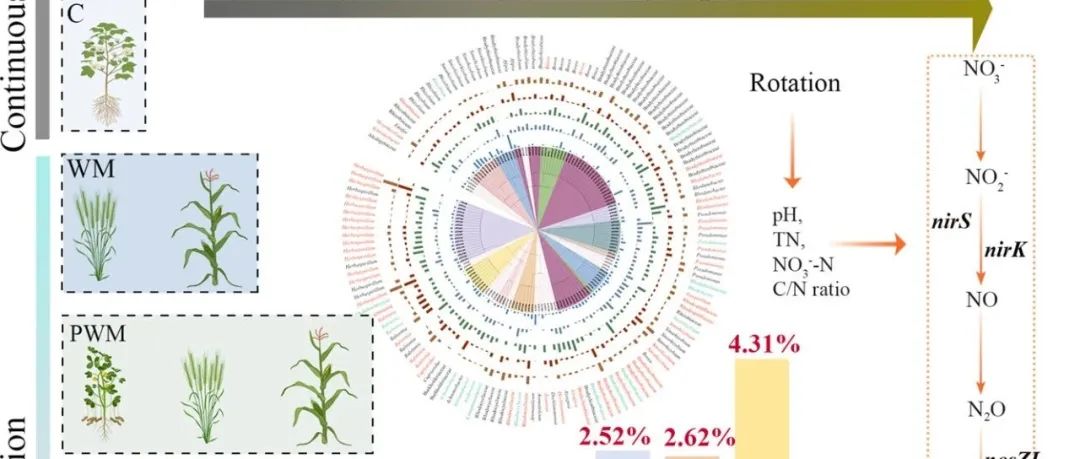 多样化轮作制丨SCI TOTAL ENVIRON：多样化轮作对 nosZI 反硝化群落产生深远影响