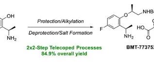 Development of a Scalable Alkylation for BMT-773752