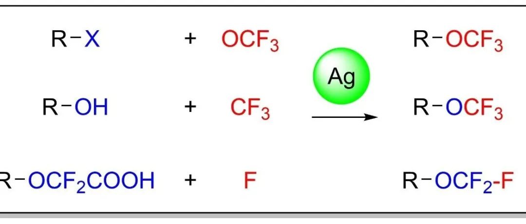 汤平平&栾玉新Sci. China Chem.综述：银介导/催化合成三氟甲氧基化合物