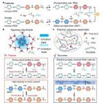 哈工大何思斯/浙大范修林 Nature子刊：未来电池新方向 - 绿色环保的柔性全聚合物水系电池，让能源“用得久”、设备“穿得起”