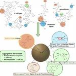 意大利威尼斯卡福斯卡里大学npj Materials Sustainability：从木质素自组装到纳米颗粒成核和生长