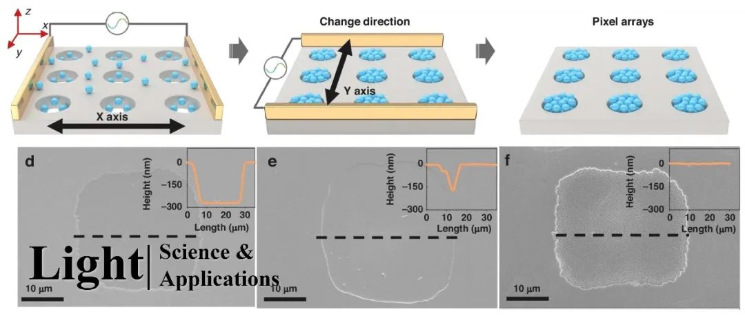 Light | 介电泳沉积获取超高分辨、高保真量子点像素