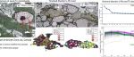 Geosci. Front. | 通过岩石年代学和局部变形研究揭示榍石中变形诱发的U-Pb和微量元素之间的解耦关系