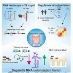 Cell Host & Microbe Nature Reviews Microbiology | 期刊学习