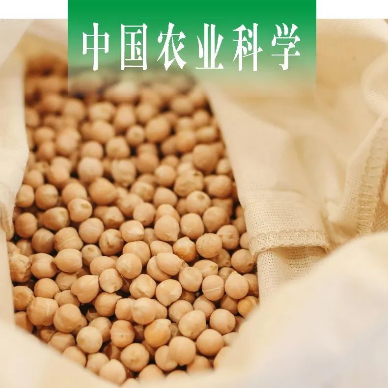 中国农业科学｜安徽农大联合中国农科院作科所探析大豆油分相关功能基因分子标记的开发与鉴定及优异等位变异聚合