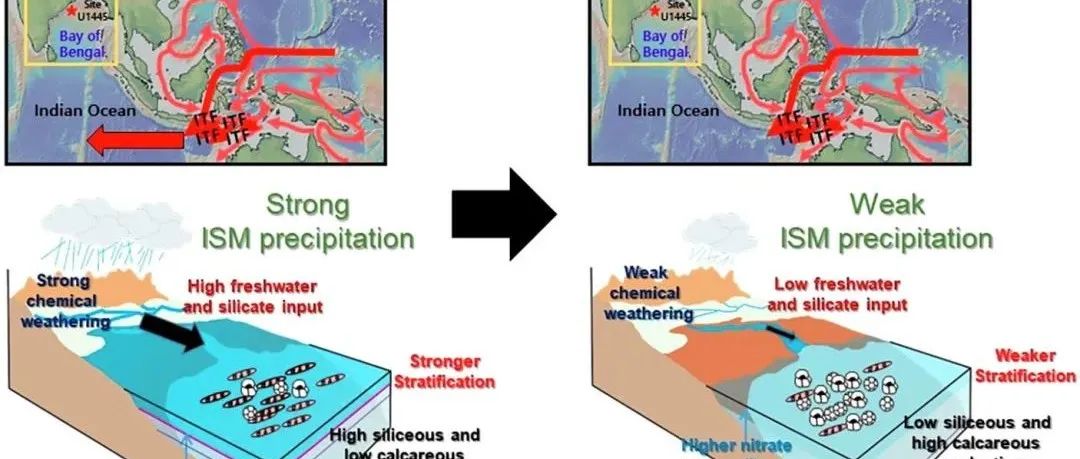 Geosci. Front. | Mahanadi盆地在过去两个冰期旋回中的印度季风演变及其对印度尼西亚贯穿流的影响