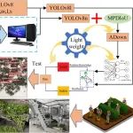 山东省农科院​与石河子大学联培博士生以第一作者身份在一区Top期刊（IF5y=7.4）上发表研究成果