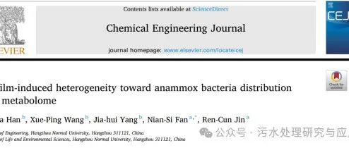 分享一篇文献：生物膜诱导的厌氧氨氧化细菌分布和代谢组学的异质性