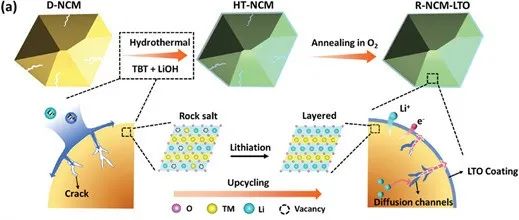 南昌大学费林峰课题组Advanced Functional Materials：一种有效而直接的降解NCM材料的升级回收策略！