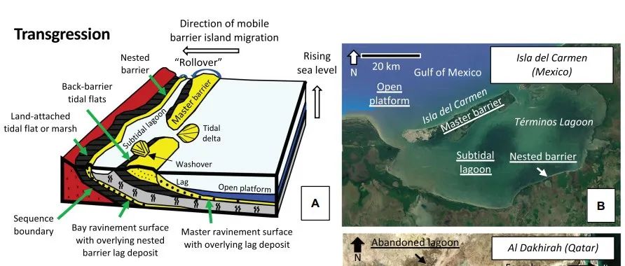 Geology: 海岸碳酸盐岩的形成新机制